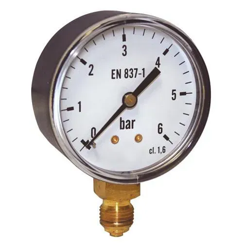 reg-pres-3-4-mano-1 (1).webp