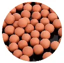 rch-pom-1 (3).webp
